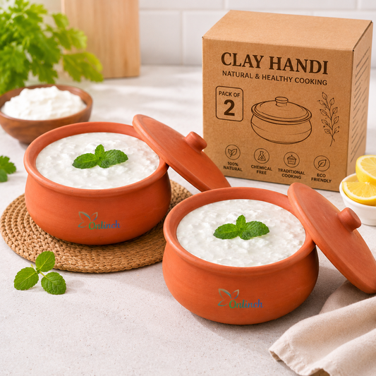 Clay Dahi Jamane ke  Handi with Lid 1 L Pack of 2