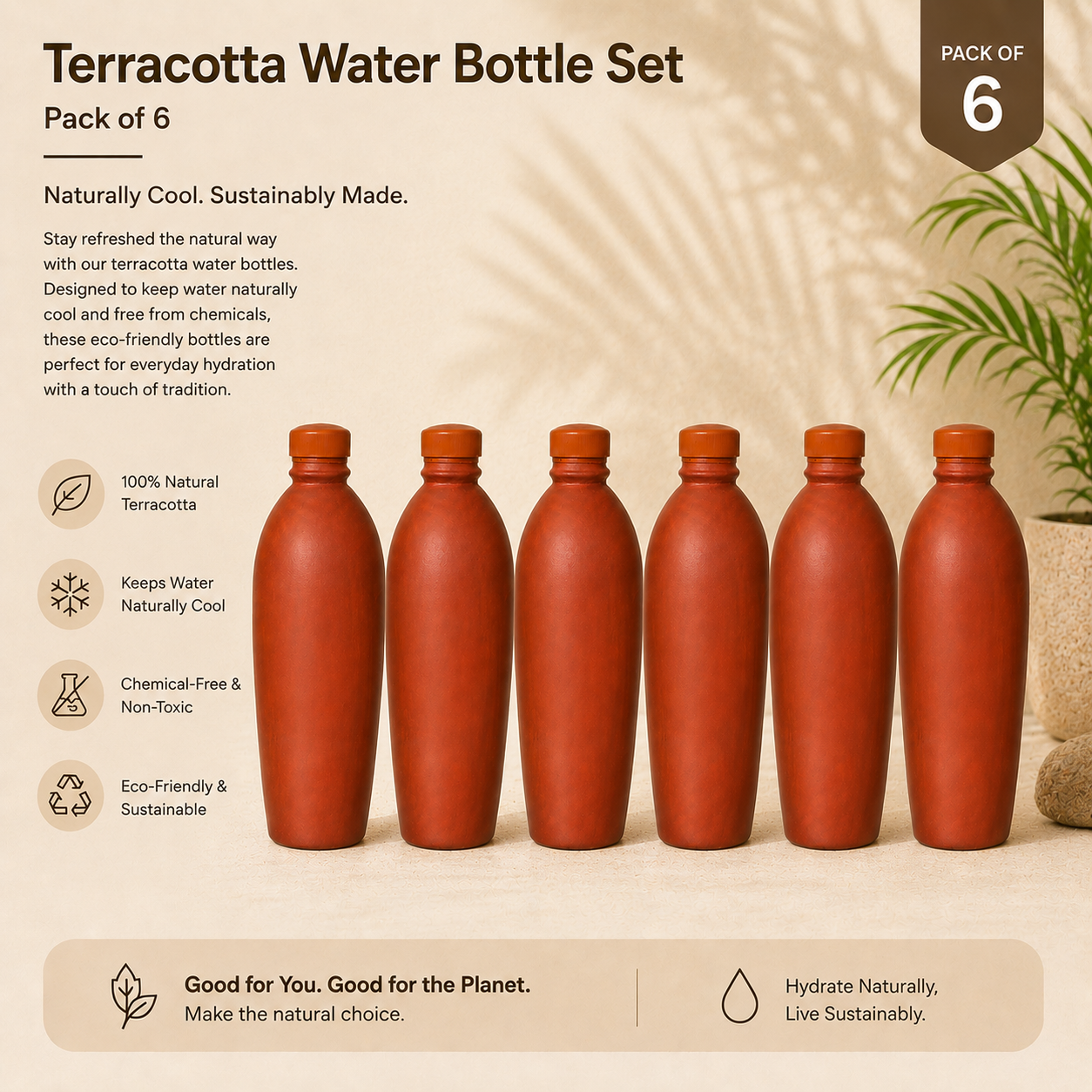 Clay Water Bottle Pack of 06